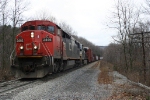 CN 2446